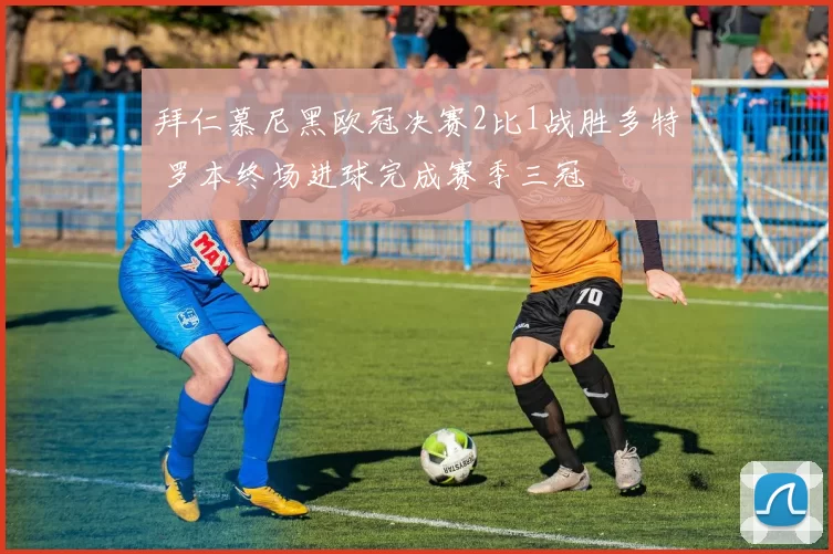 拜仁慕尼黑欧冠决赛2比1战胜多特 罗本终场进球完成赛季三冠