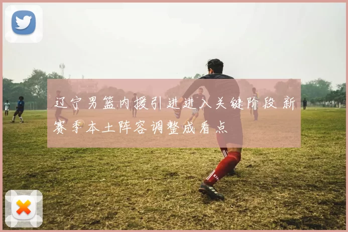 辽宁男篮内援引进进入关键阶段 新赛季本土阵容调整成看点