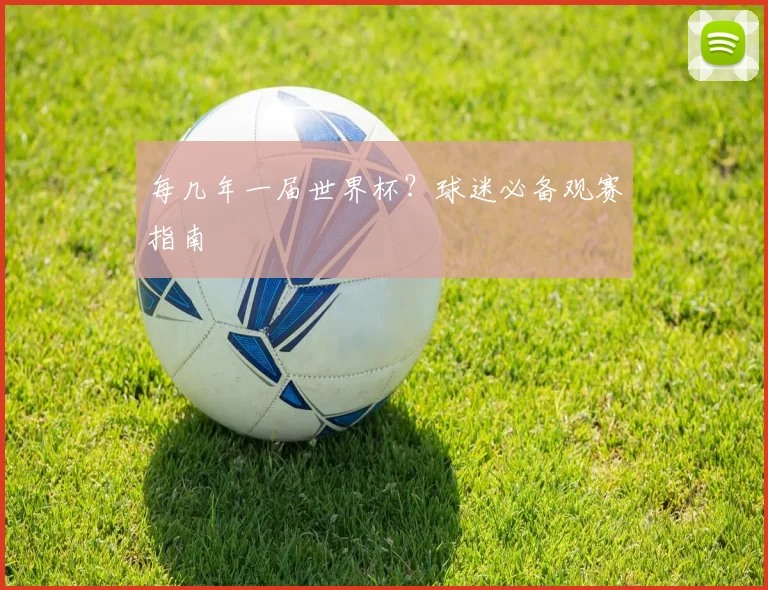 每几年一届世界杯?球迷必备观赛指南