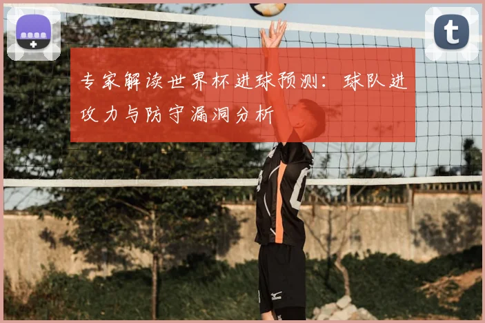 专家解读世界杯进球预测:球队进攻力与防守漏洞分析