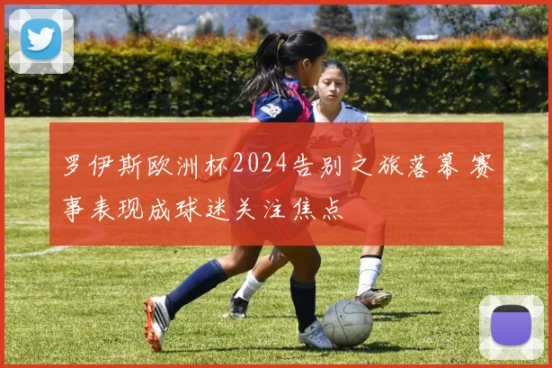 罗伊斯欧洲杯2024告别之旅落幕 赛事表现成球迷关注焦点